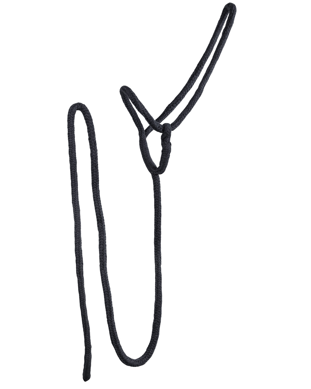 1670zw_1
