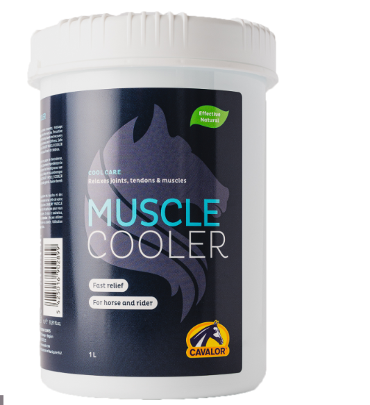 cavalor muscle cooler