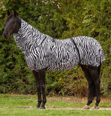 exceem zebra